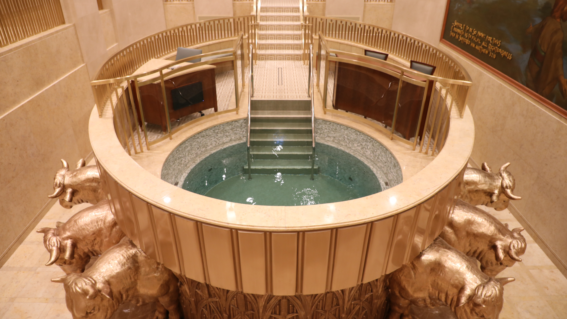 The baptistry of the Hamilton, New Zealand Temple. Baptisms for the dead are performed by proxy in temples all over the world. Image courtesy of The Church of Jesus Christ of Latter-day Saints