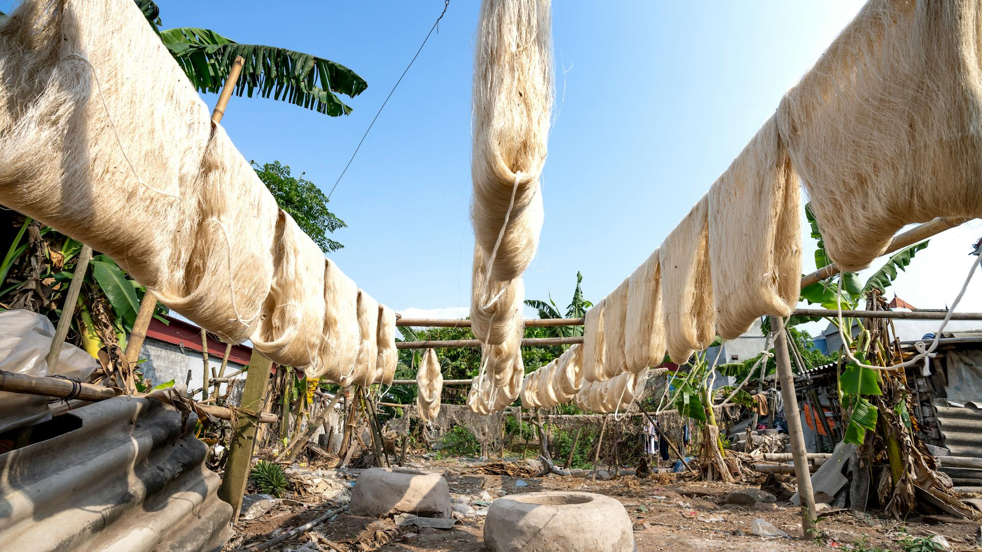 New silk fibers dry on lines in the sun. Image by Quang Nguyen Vinh via Pexels.
