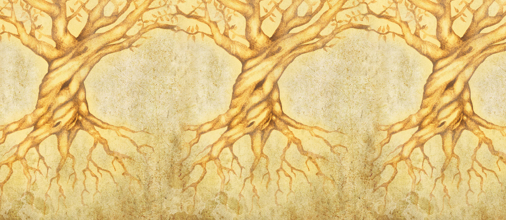 Roots of Olive Trees by Jody Livingston.