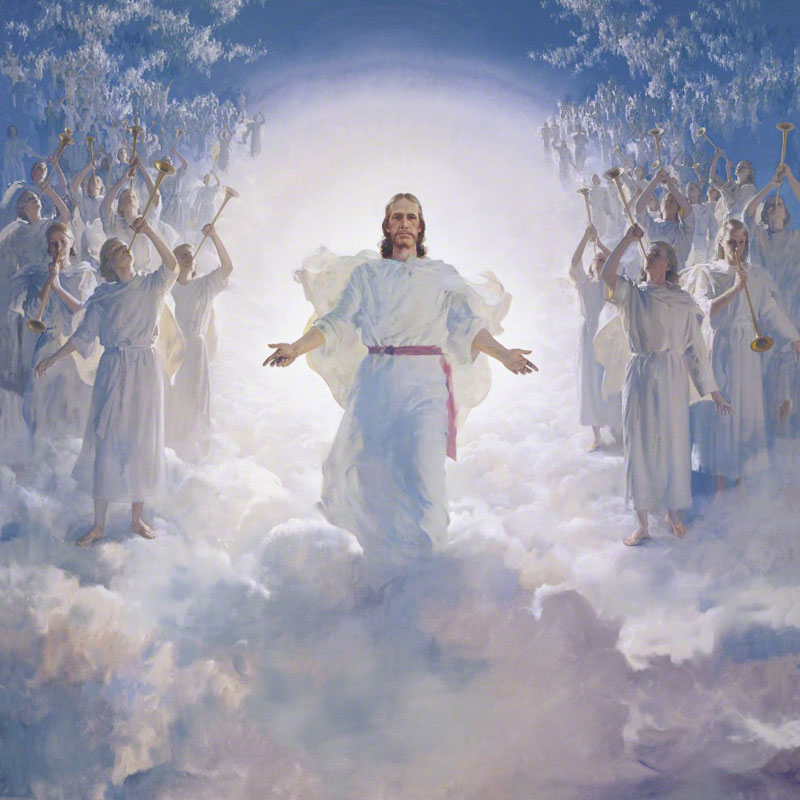 The Second Coming by Harry Anderson