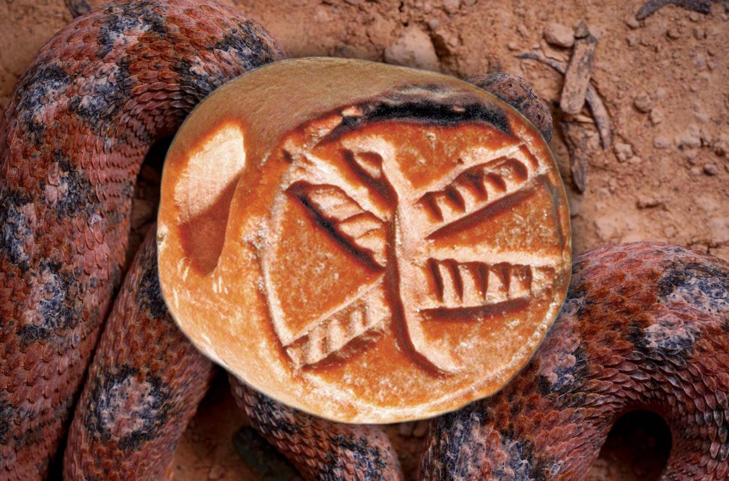 An ancient Israelite stamp seal impression with a flying serpent. Photo of a Palestinian saw-scaled viper by Matthieu Berroneau.