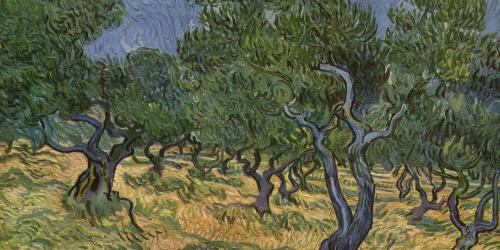 Olive Orchard by Vincent van Gogh.