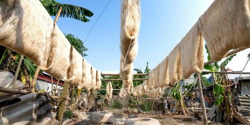 New silk fibers dry on lines in the sun. Image by Quang Nguyen Vinh via Pexels.